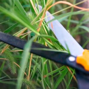 INGCO HEDGE SHEAR TEFLON COATED BLADE 560MM HHS6301 thumbnail